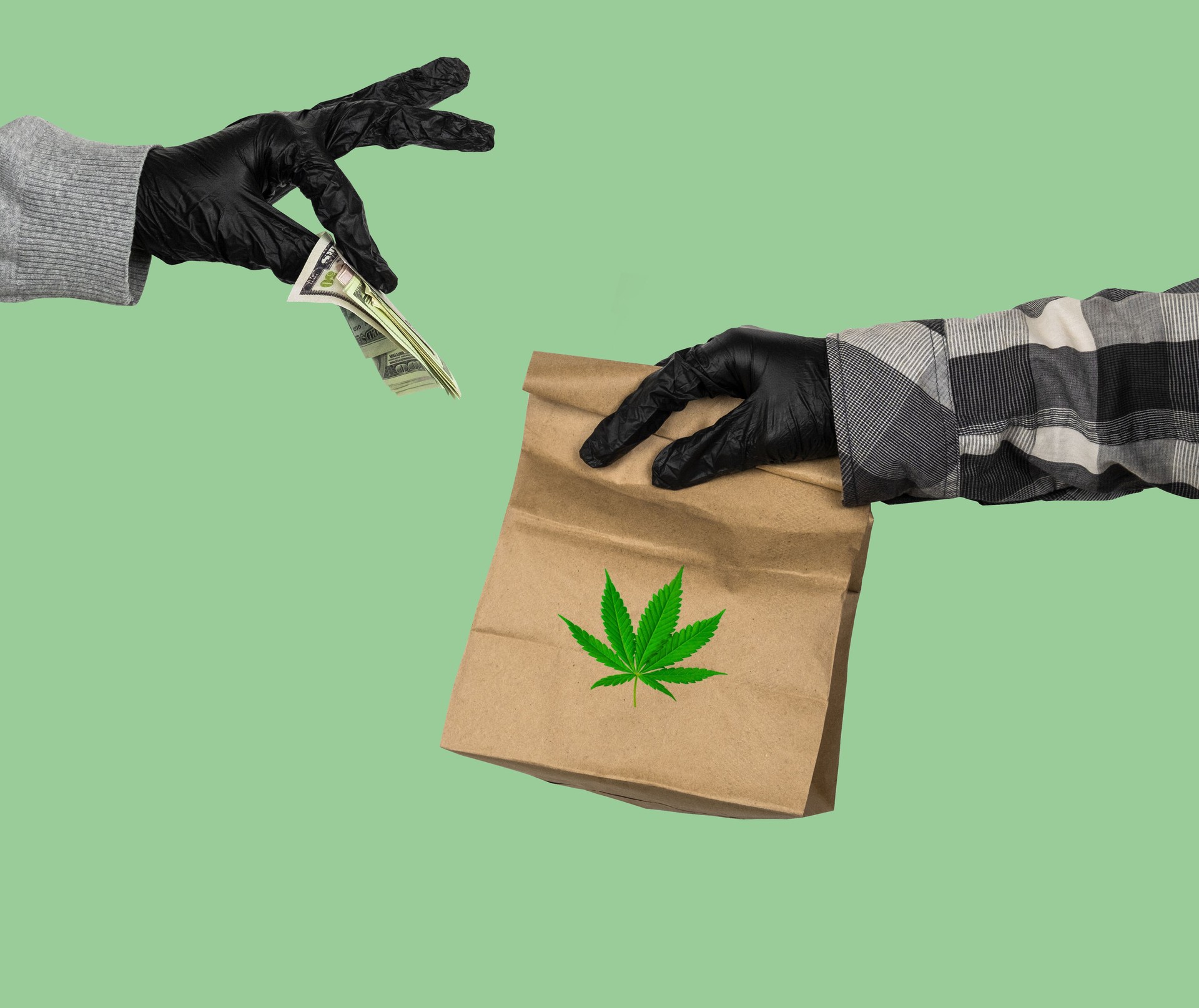 hand in latex gloves holds a paper  bag with marijuana leaf  and female hand in latex gloves gives him